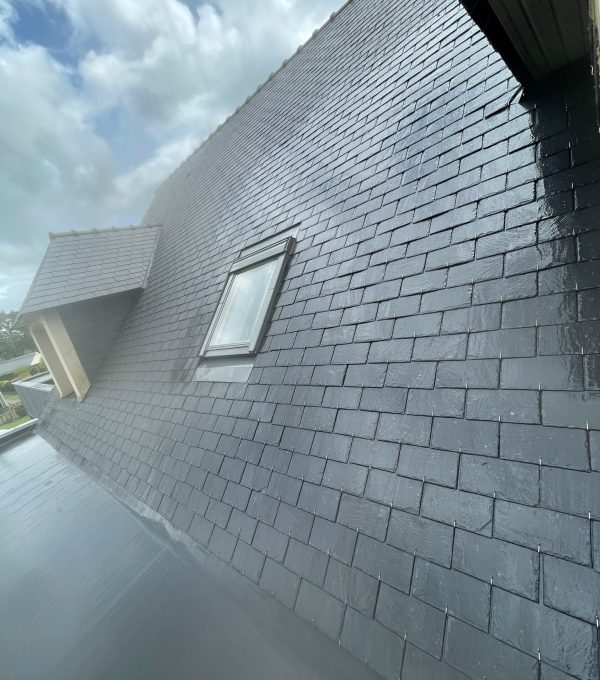 demoussage toiture saint nicolas de redon demoussage toiture saint nicolas de redon